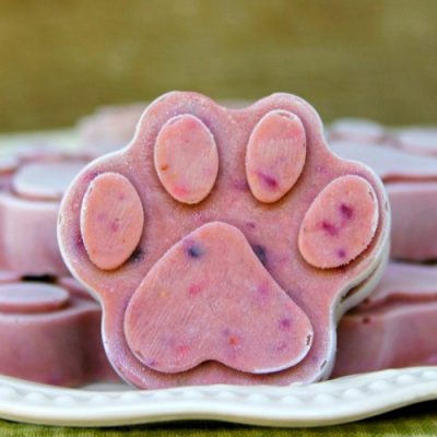 DIY Summer Treats For French Bulldogs Chicago Il